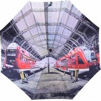 012-6 fj Зонт Flioraj