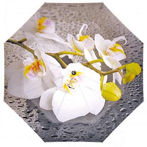 231204 FJ Flioraj Зонт