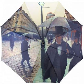 012-12 fj Зонт Flioraj